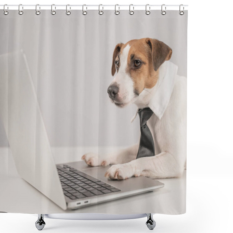 Personality  Cute Jack Russell Terrier Dog In A Tie Working On A Laptop On A White Background Shower Curtains