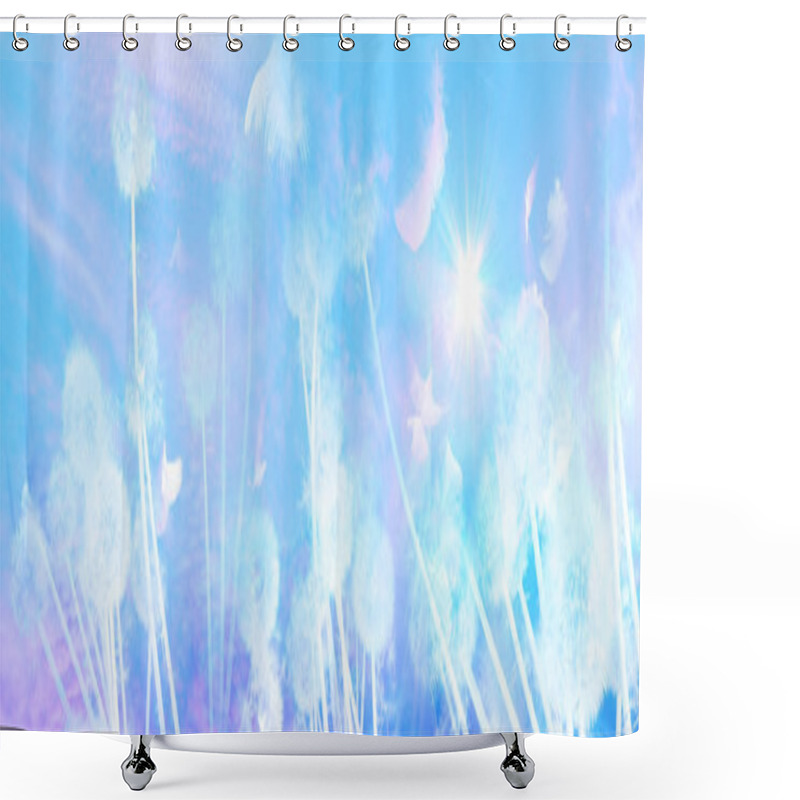 Personality  White Dandelions Sunrise With Feathers Shower Curtains