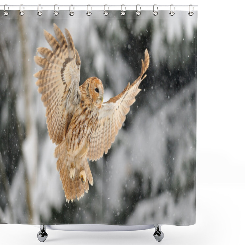 Personality  Landing Tawny Owl Shower Curtains