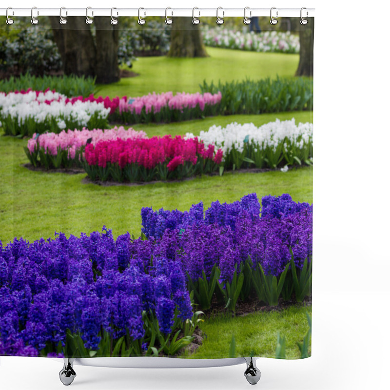 Personality  Beautiful Spring Flowers Shower Curtains