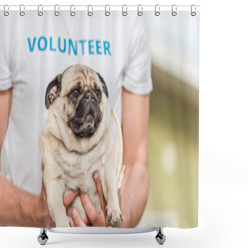 Personality  Cropped Image Of Volunteer Of Animals Shelter Holding Funny Pug Dog Shower Curtains