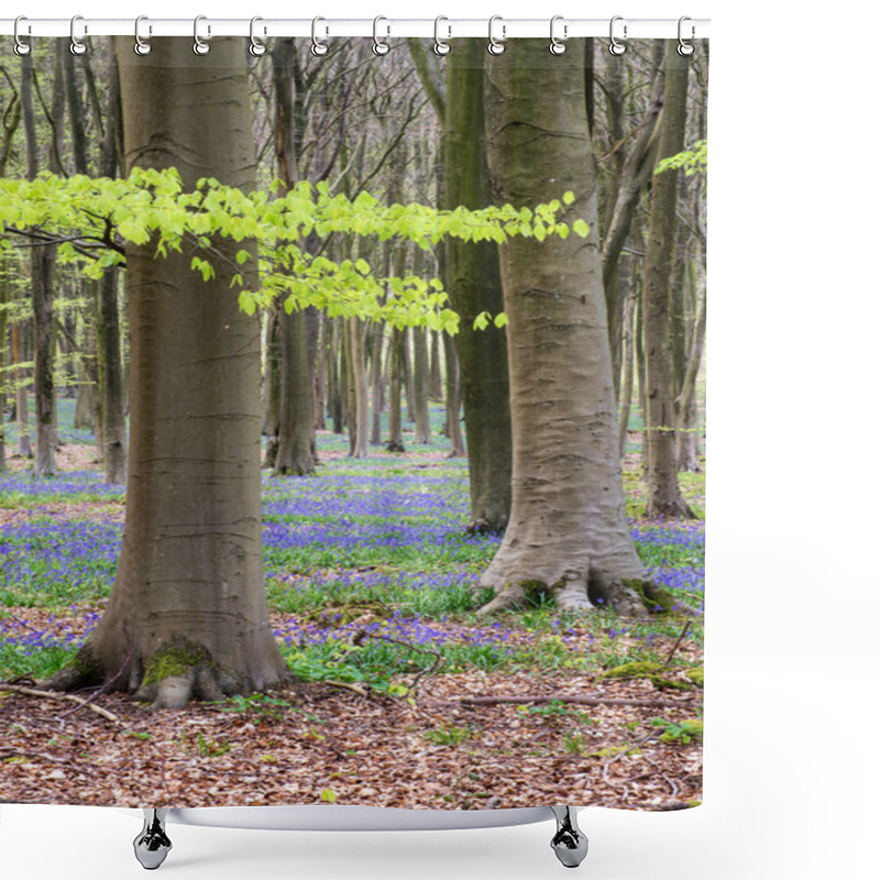 Personality  Stunning Bluebell Flowers In Spring Forest Landscape Shower Curtains