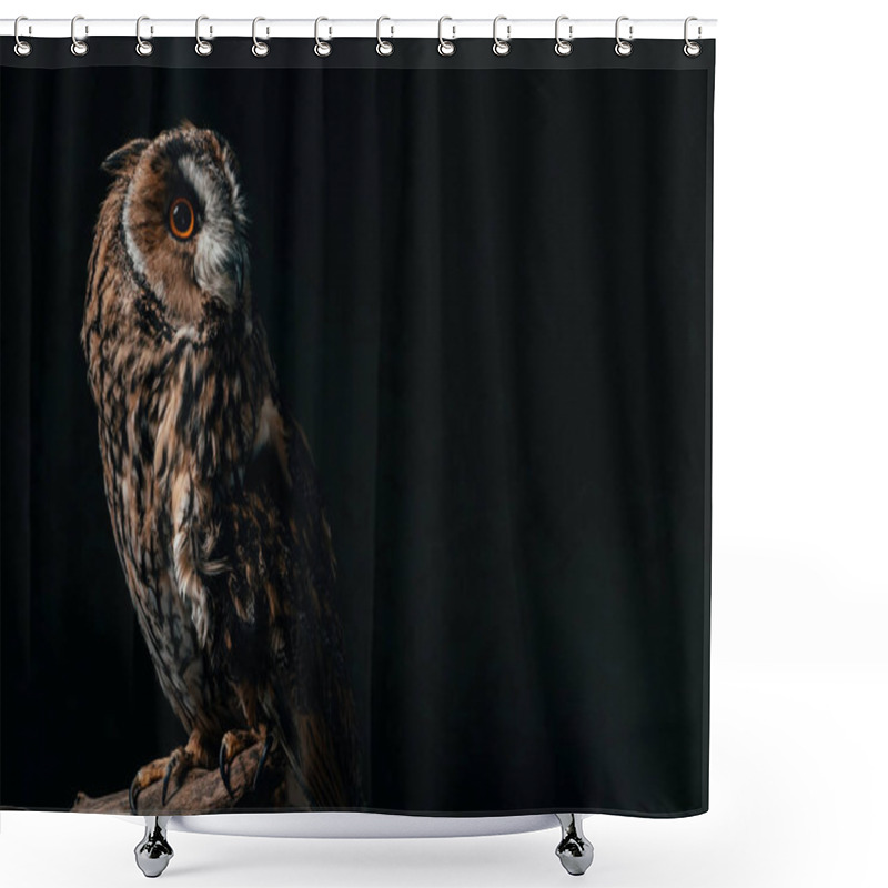 Personality  Wild Owl Sitting In Dark On Wooden Branch Isolated On Black With Copy Space Shower Curtains