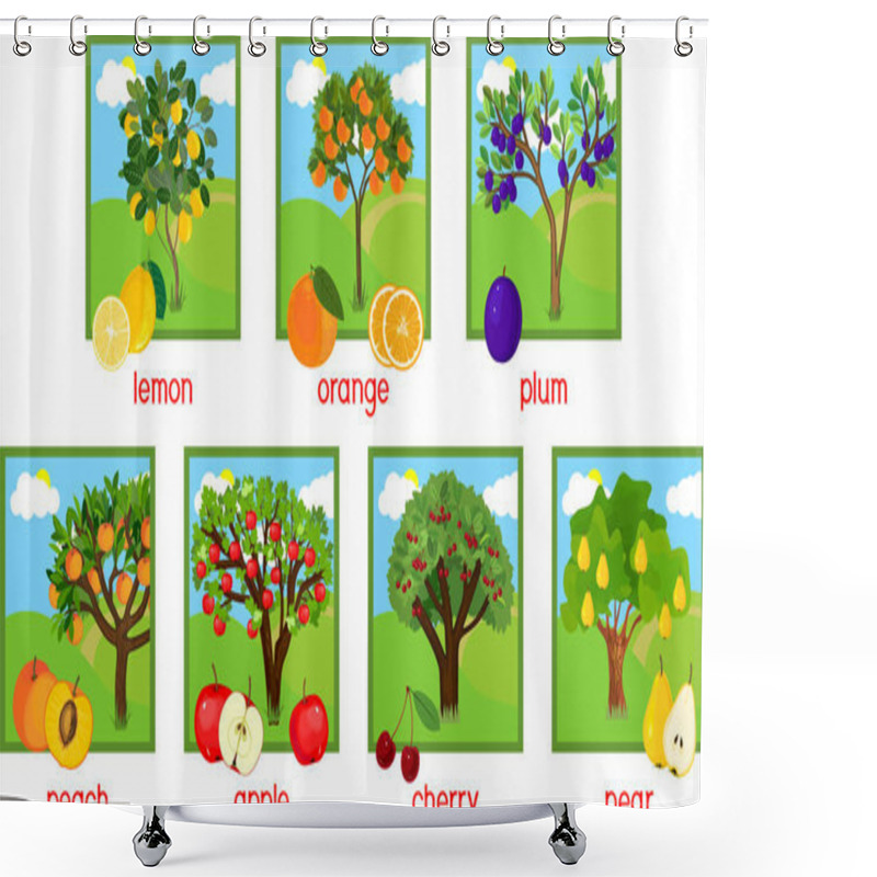 Personality   Set Of Different Fruit Trees With Ripe Fruits And Title Shower Curtains