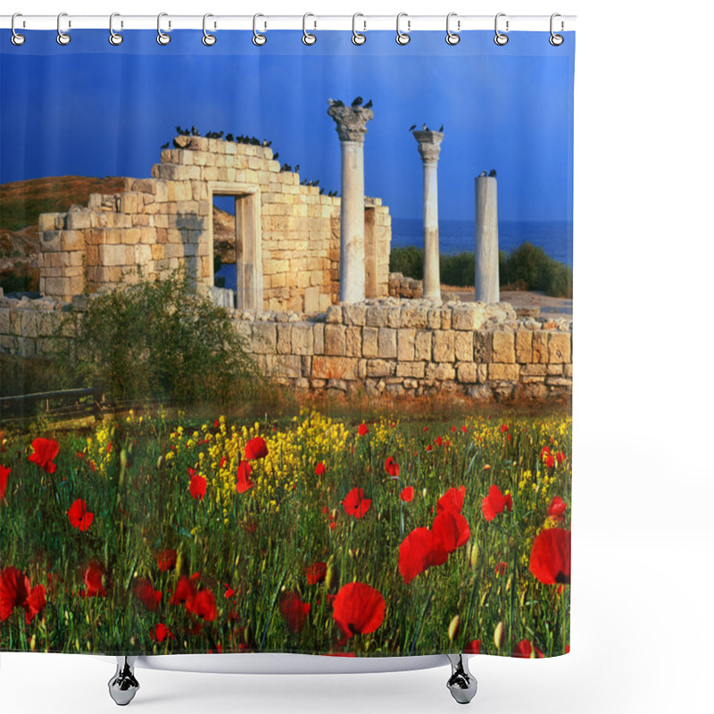 Personality  Ruins Of Greek Buildings Shower Curtains