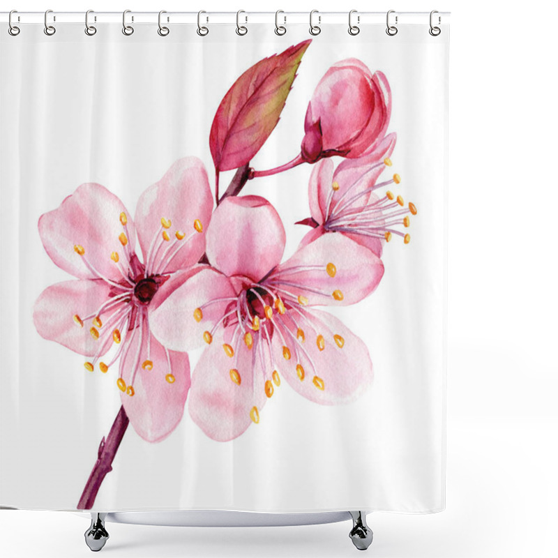 Personality  Watercolor Sakura Flowers Set, Isolated Flora, Painting Pink Spring Flower Cherry Blossom Branch. Botanical Illustration. High Quality Illustration Shower Curtains