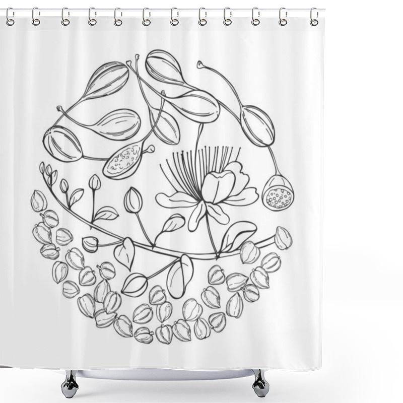 Personality  Hand Drawn Edible Fruits And Buds Of Capers In A Circle.  Vector Sketch Illustration. Shower Curtains