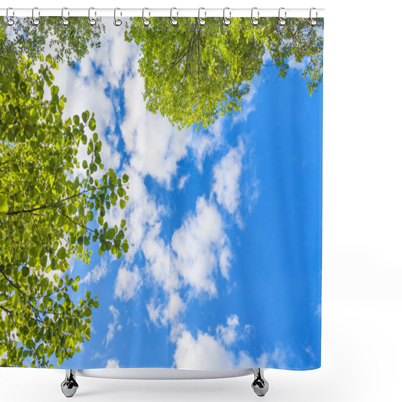 Personality  Blue Sky And Green Leaves Looking Up Shower Curtains