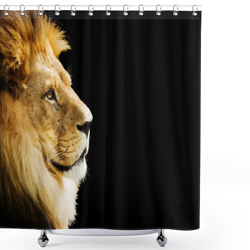 Personality  Lion Portrait Shower Curtains