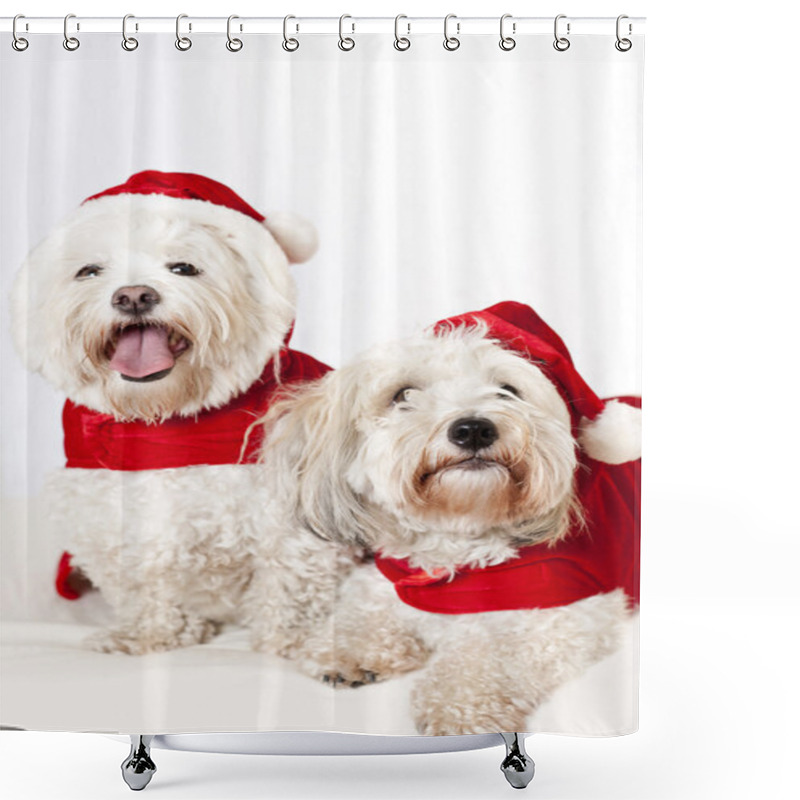 Personality  Two Cute Dogs In Santa Outfits Shower Curtains