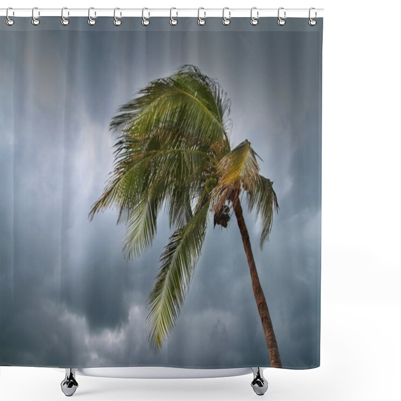 Personality  Hurricane Tropical Storm Coconut Palm Tree Leaves Shower Curtains