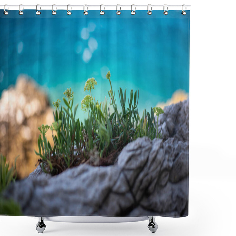 Personality  Sea Fennel (Crithmum Maritimum) Growing Along The Rocky Shore With Turquoise Waters In The Background, Croatia Shower Curtains