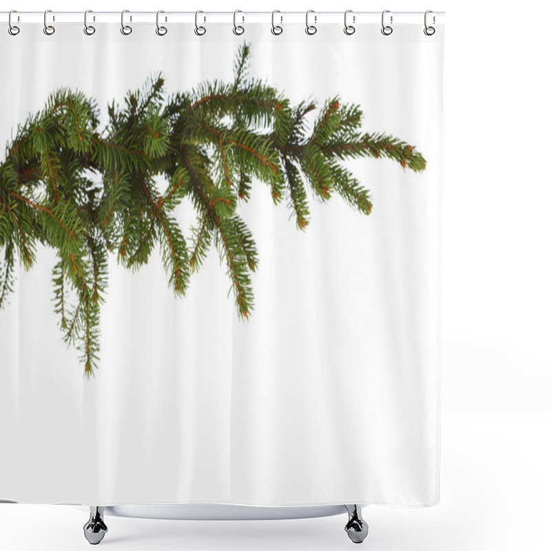 Personality  Fir Branch On White Shower Curtains