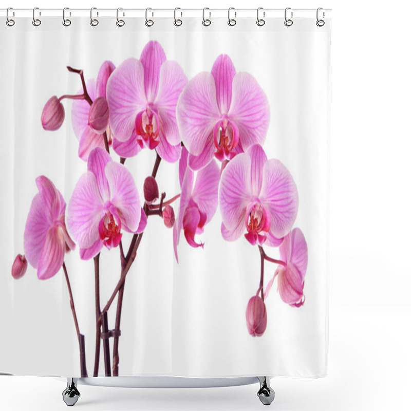 Personality  Purple Orchid Flowers Shower Curtains