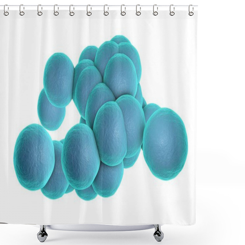 Personality  Bacteria Staphylococcus Aureus MRSA Isolated On White Background, 3D Illustration Shower Curtains