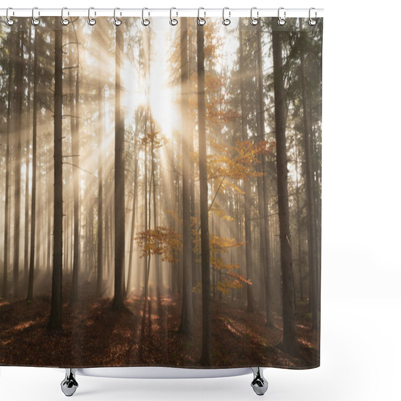 Personality  Sun Rays Shining Through The Fog Among The Trees Shower Curtains