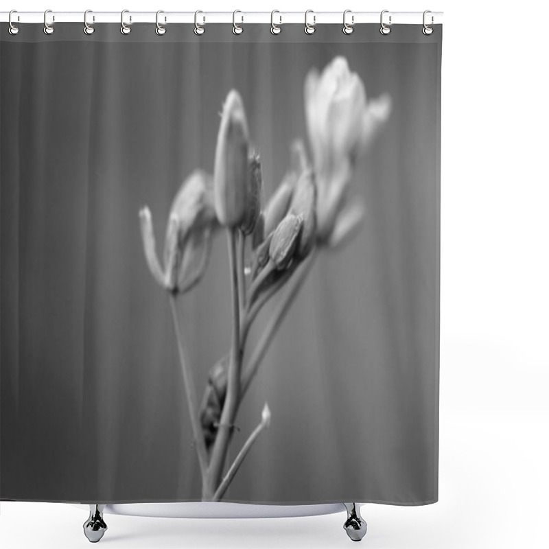 Personality  Gray Flowers Umbel Shower Curtains