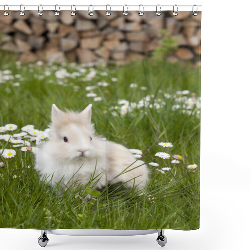 Personality  Cute Bunny Rabbit Sitting In The Grass Shower Curtains