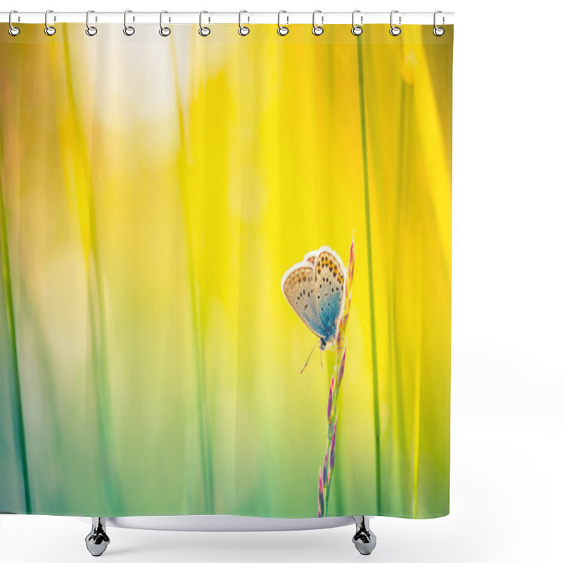 Personality  Nature Background Concept. Beautiful Summer Meadow Background. Inspirational Nature Closeup. Natural Sunset Meadow Grass In Sunlight With Beautiful Bokeh. Lush Grass Macro Butterfly In Nature Outdoors, Wide Format With Copy Space. Shower Curtains