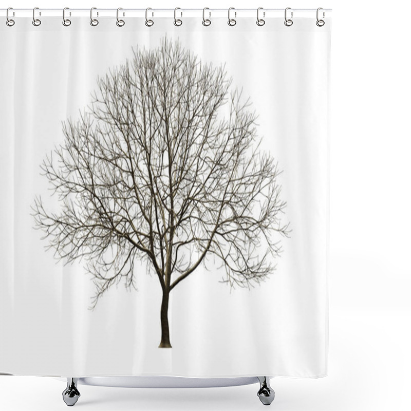 Personality  Isolated Tree Without Leaf On White Background With Clipping, 3D Illustration Rendering Shower Curtains