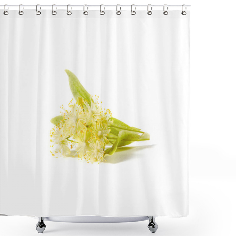 Personality  Flowering Freshly Picked Natural Twig Of Linden Or Tilia Tree With Small Yellow Aromatic Flowers Isolated On A White Background, Copy Space. Medicinal Plant Shower Curtains