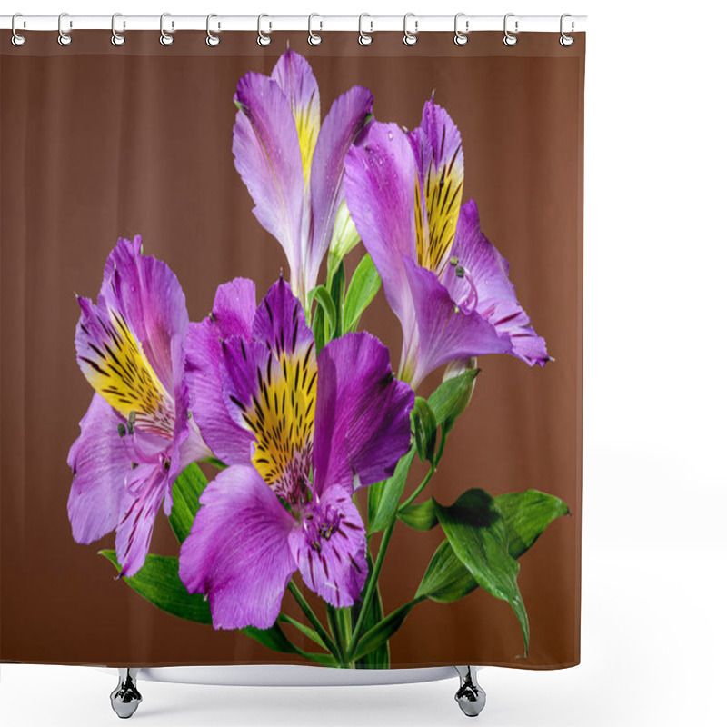 Personality  Vibrant Purple Alstroemeria Navarro Flowers With Yellow And Black Markings, Captured On A Brown Background Shower Curtains