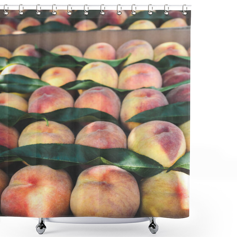 Personality  Organic Shower Curtains