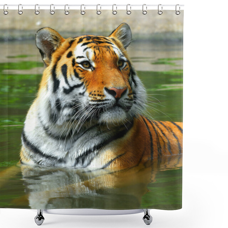 Personality  Siberian Tiger Shower Curtains