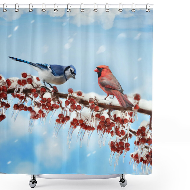 Personality  Birds  In Winter Shower Curtains