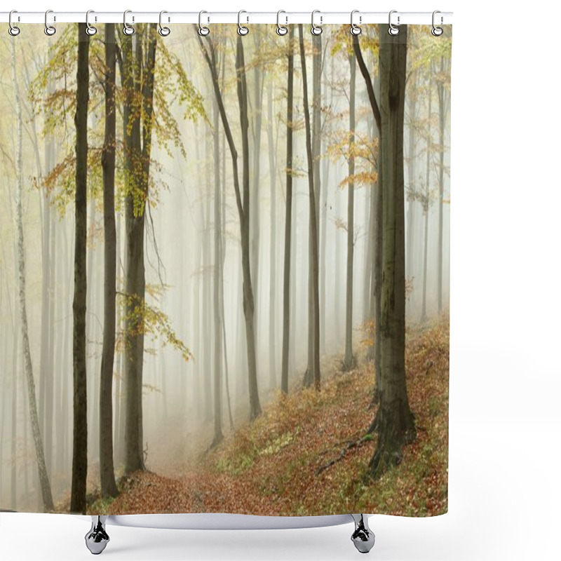 Personality  Misty Autumn Beech Forest Shower Curtains