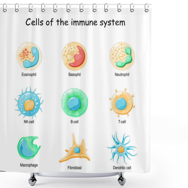 Personality  Cells Of The Immune System. White Blood Cells Or Leukocytes: Eosinophil, Neutrophil, Basophil, Macrophage, Fibroblast, And Dendritic Cell. Vector Diagram Shower Curtains