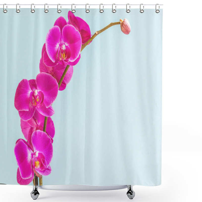 Personality  Beautiful Purple Phalaenopsis Orchid Flower, Known As The Fluttering Butterfly. Shower Curtains