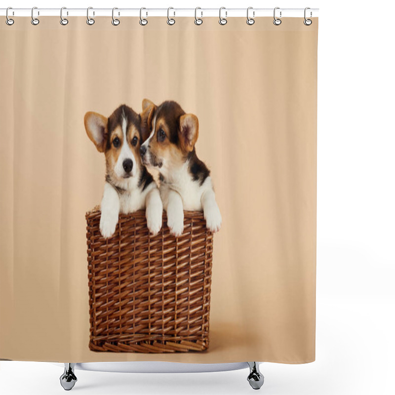 Personality  Cute Welsh Corgi Puppies In Wicker Basket On Beige Background Shower Curtains