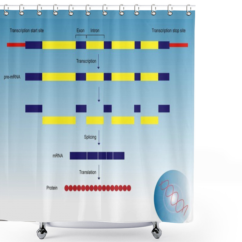 Personality  Gene Expression Shower Curtains