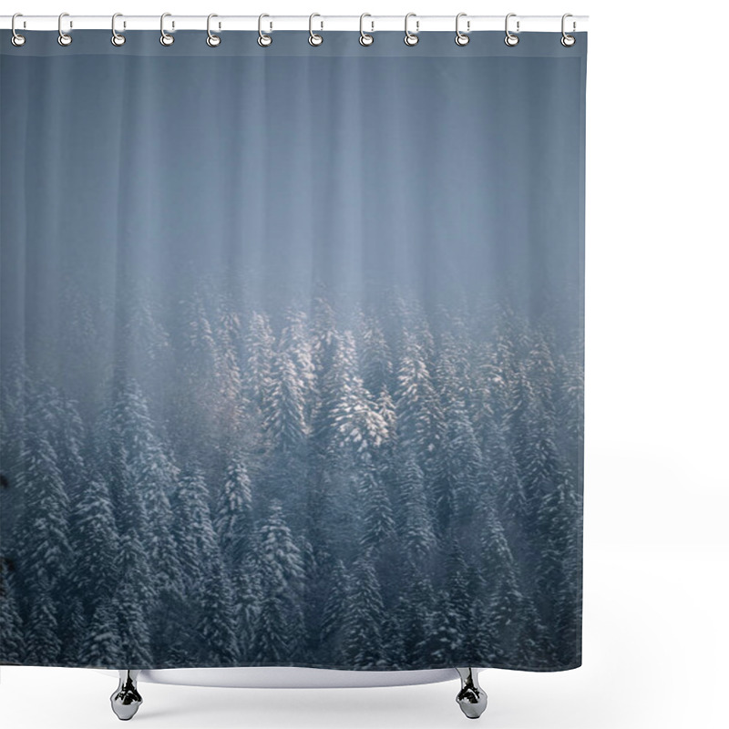 Personality  Winter Nature Background. Foggy Forest Shower Curtains