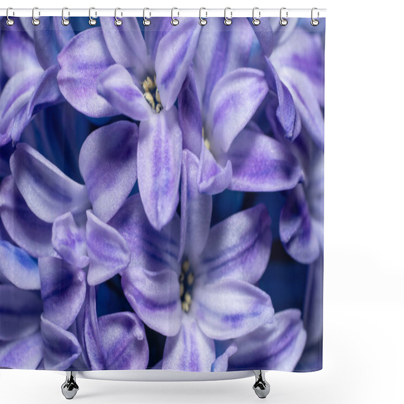 Personality  Full Frame Macro Shot Showing Lots Of Hyacinth Blossoms Shower Curtains