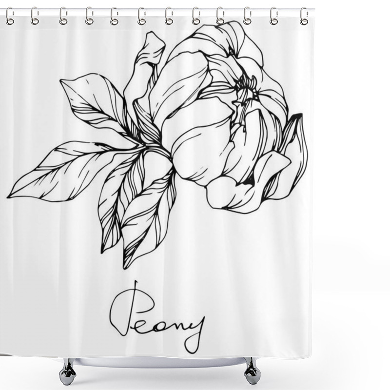 Personality  Vector Isolated Monochrome Peony Flower Sketch And Handwritten Lettering On White Background. Engraved Ink Art.  Shower Curtains