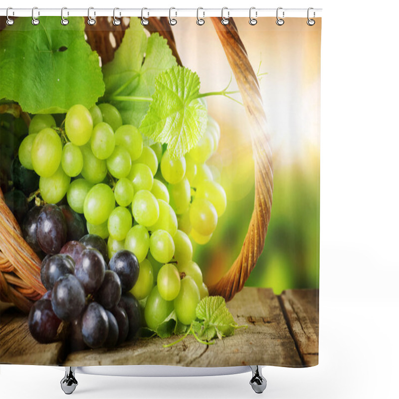 Personality  Grapes In The Basket. Grapevine Over Vineyard Background Shower Curtains