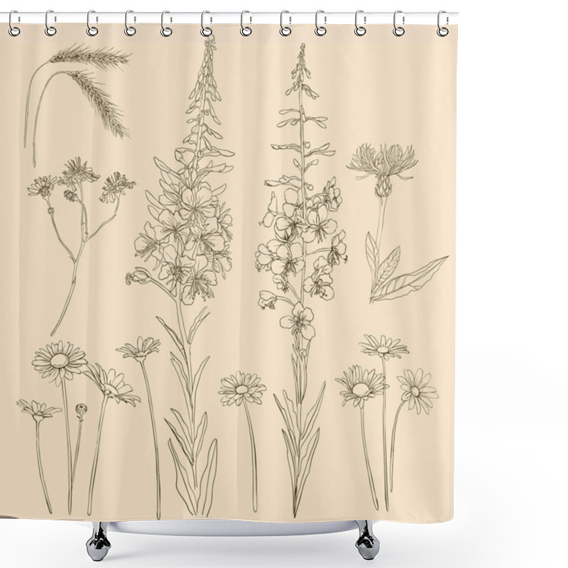 Personality  Sketch Of Wildflowers And Herbs. Chamomile, Wheat, Flowers. Shower Curtains