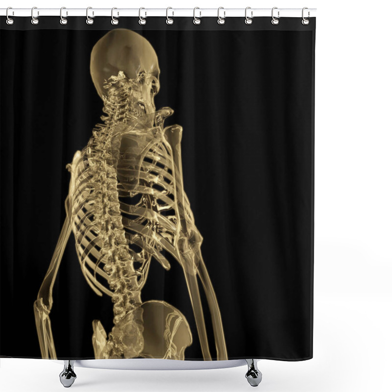 Personality  Digital 3D Rendering Of A Human Skeleton Shower Curtains