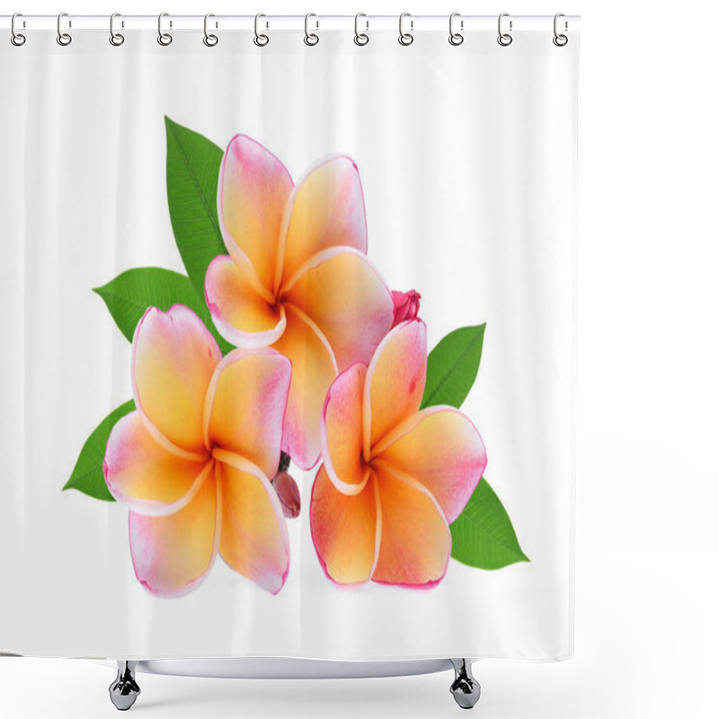 Personality  Frangipani Tropical Flower, Plumeria, Lanthom, Leelawadee Flower Shower Curtains