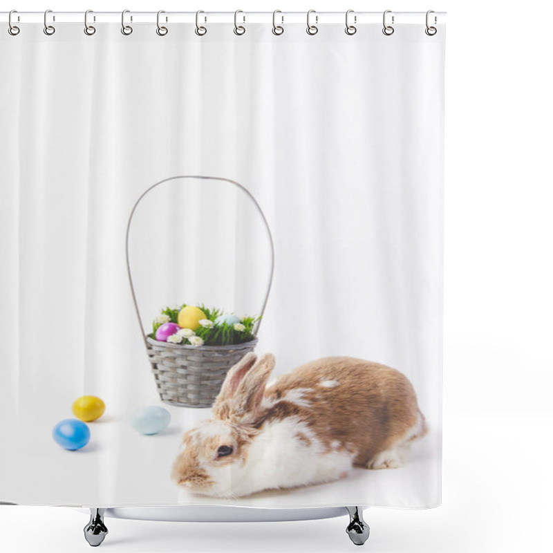 Personality  Easter Basket With Painted Eggs And Rabbit, Easter Concept Shower Curtains