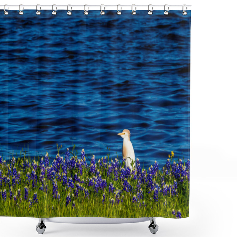 Personality  Egrets In Texas Bluebonnets At Lake Travis At Muleshoe Bend In T Shower Curtains