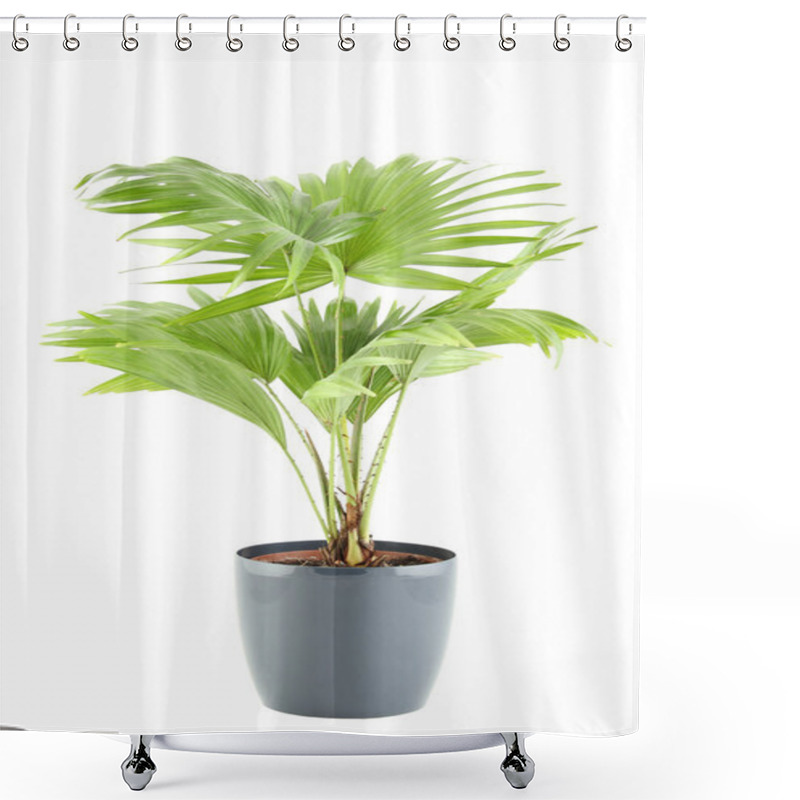 Personality  Potted Plant Shower Curtains