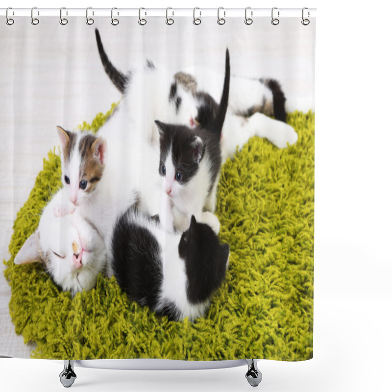 Personality  Cute Mother Cat And Little Kittens Shower Curtains