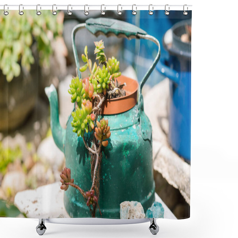 Personality  Reused Planter Ideas. Second-hand Kettles, Saucepans, Old Teapots Turn Into Garden Flower Pots. Recycled Garden Design And Low-waste Lifestyle. Shower Curtains