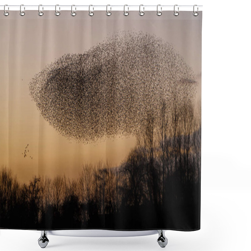 Personality  Murmurations Of Birds During Sunset, Beautiful Nature Background Shower Curtains