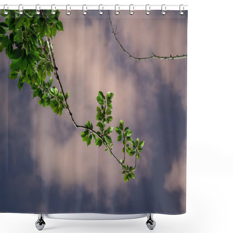 Personality  Close Up Of Branches Lit By Street Lampen Against Dark Cloudy Sky Shower Curtains