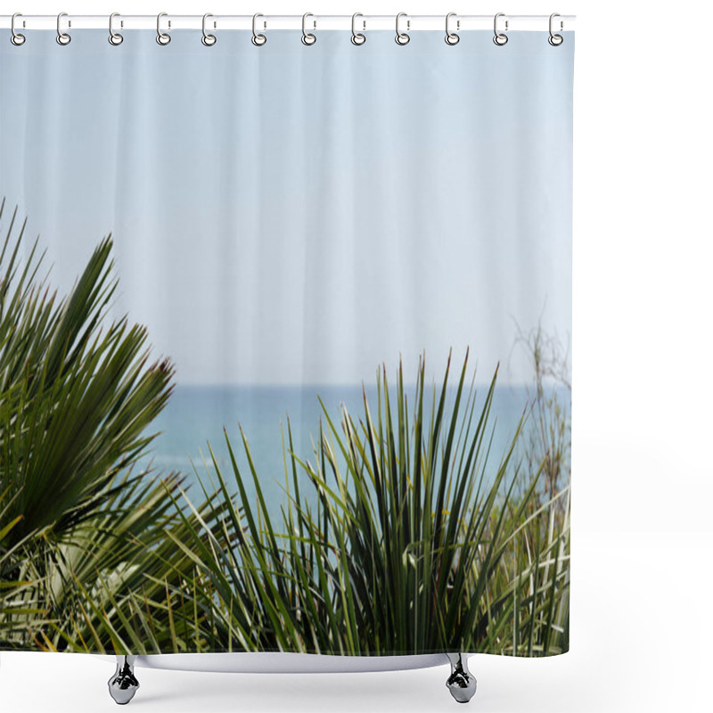 Personality  Selective Focus Of Branches Of Palm Trees With Seascape And Sky At Background In Catalonia, Spain  Shower Curtains