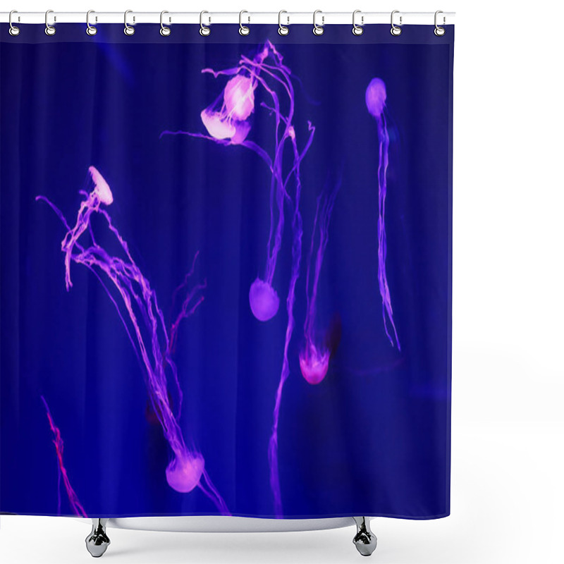 Personality  Beautiful Jellyfish, Medusa In The Neon Light With The Fishes. Underwater Life In Ocean Jellyfish. Exciting And Cosmic Sight Shower Curtains